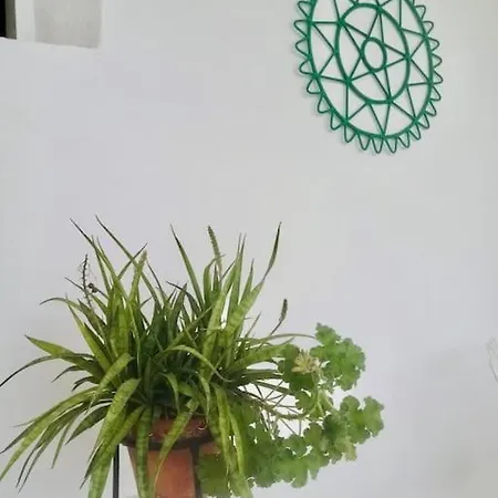 Casa Kira Sur, Macher