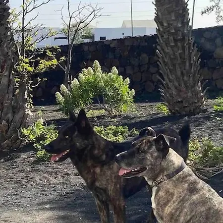 Casa Kira Sur, Macher